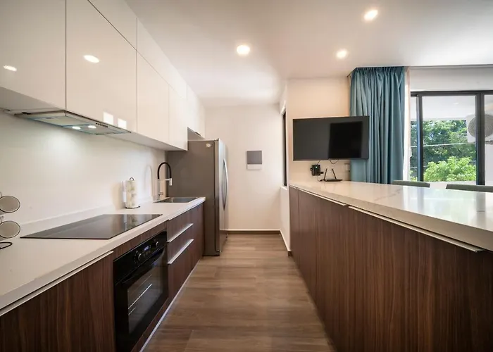 Modern In The Mayan Jungle In 1 Bedroom Apartment
